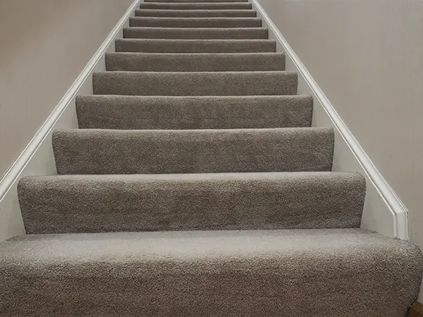 Carpet floor on basement stairs